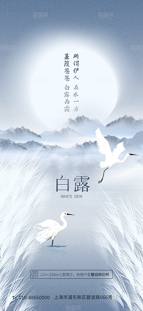 传统节气白露海报模版素材