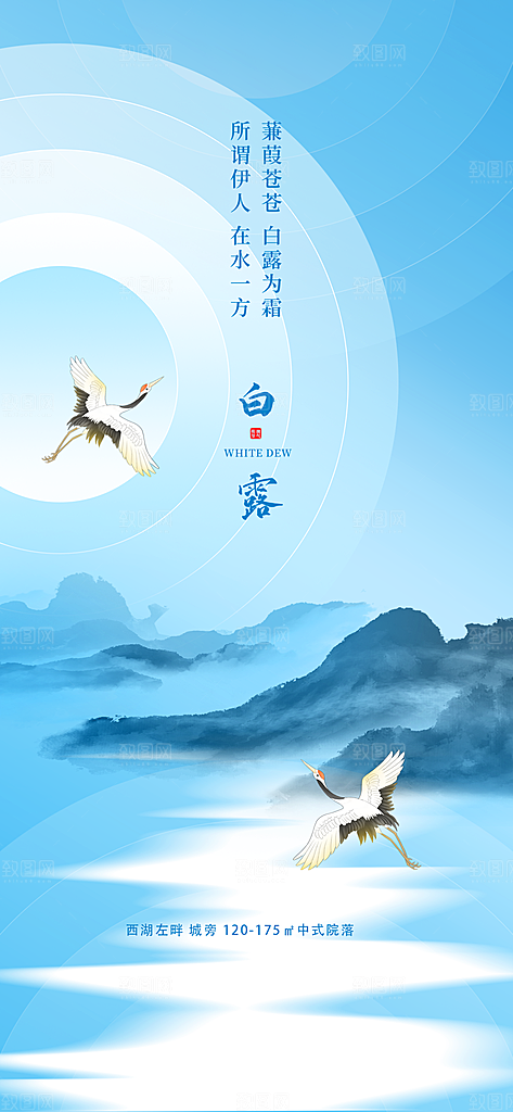 白露节气简约大气海报