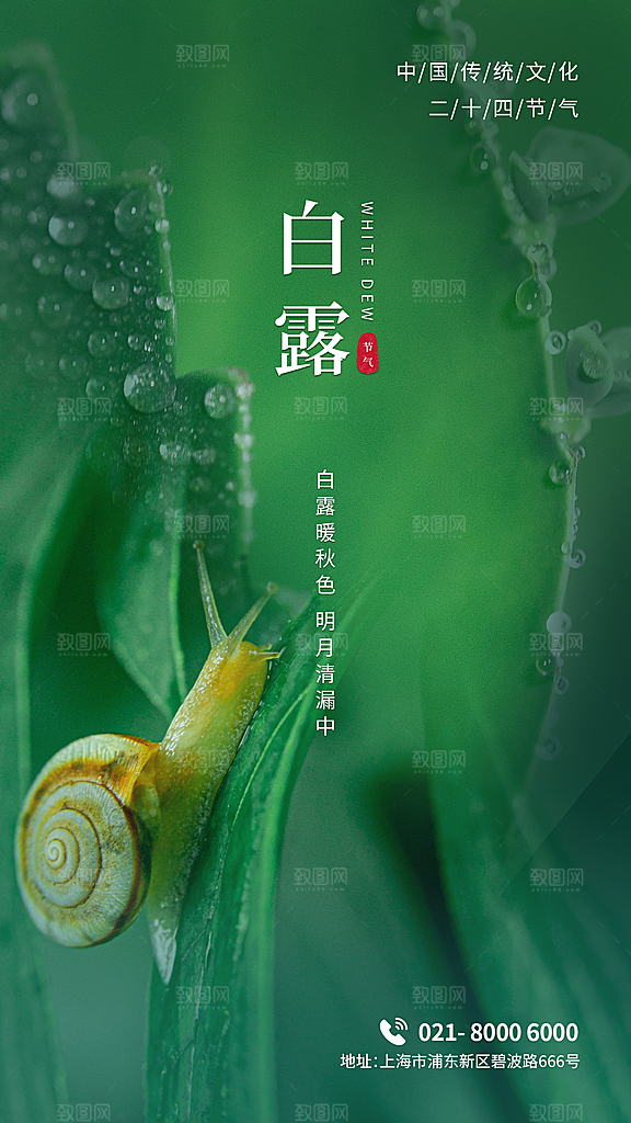 白露节气简约大气海报