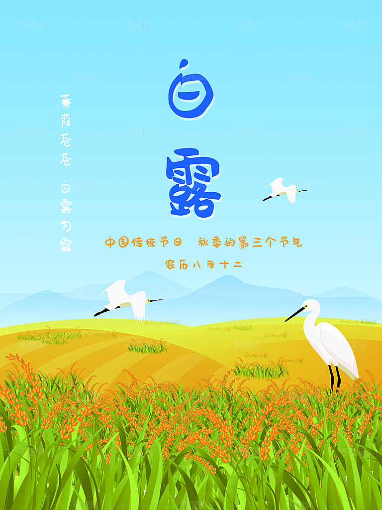 白露节气简约大气海报