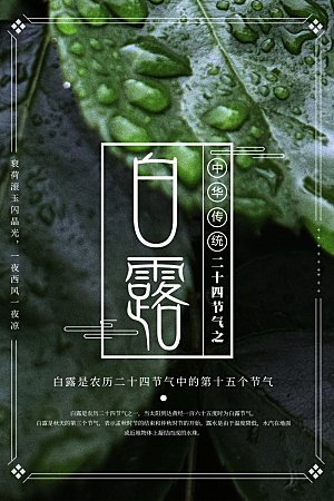 白露节气简约大气海报