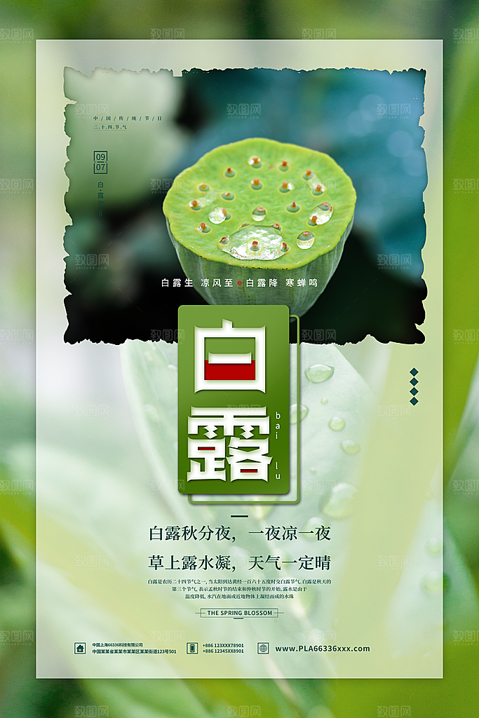 传统节气白露海报模版素材