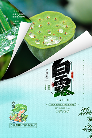 传统节气白露海报模版素材