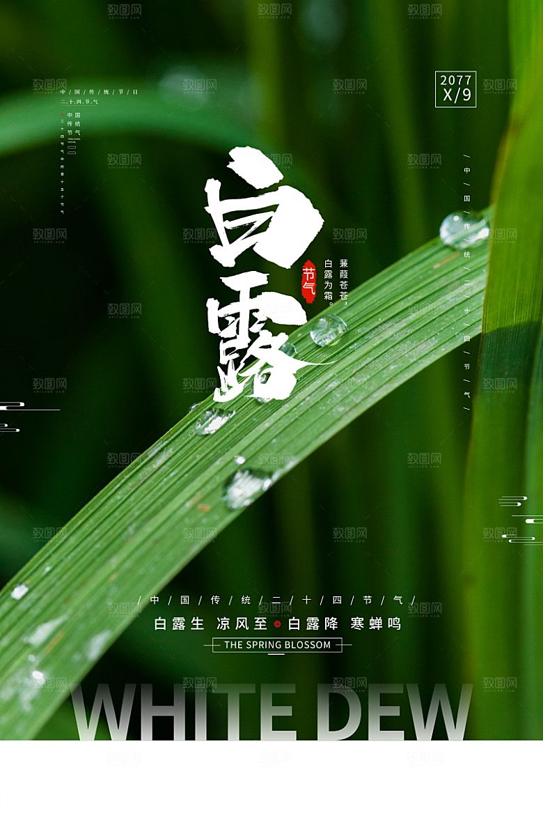 传统节气白露海报模版素材
