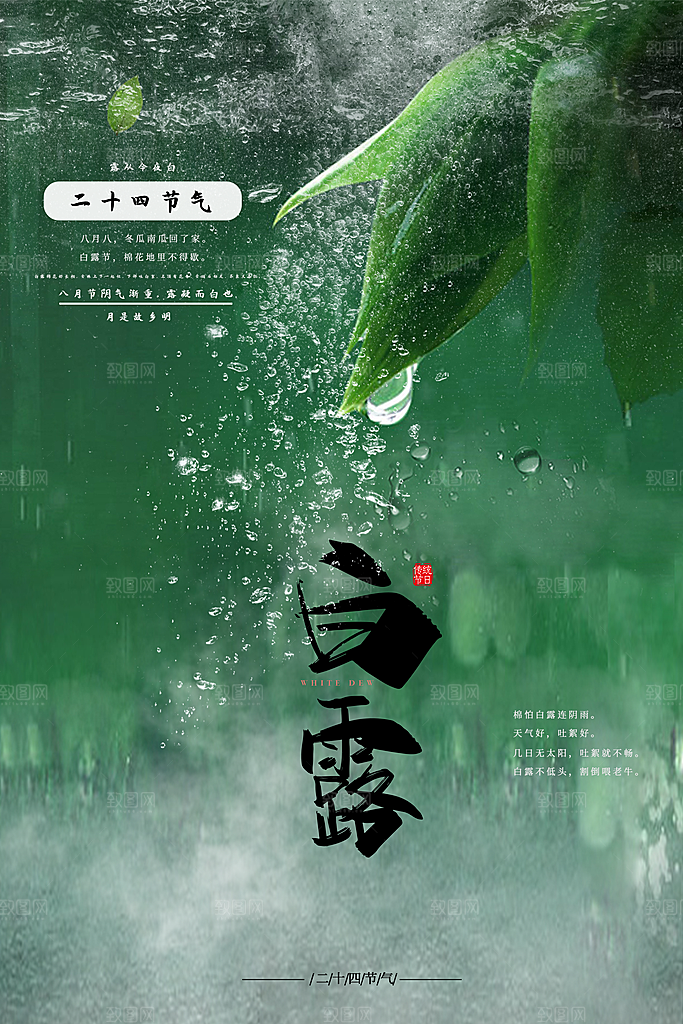 白露节气简约大气海报