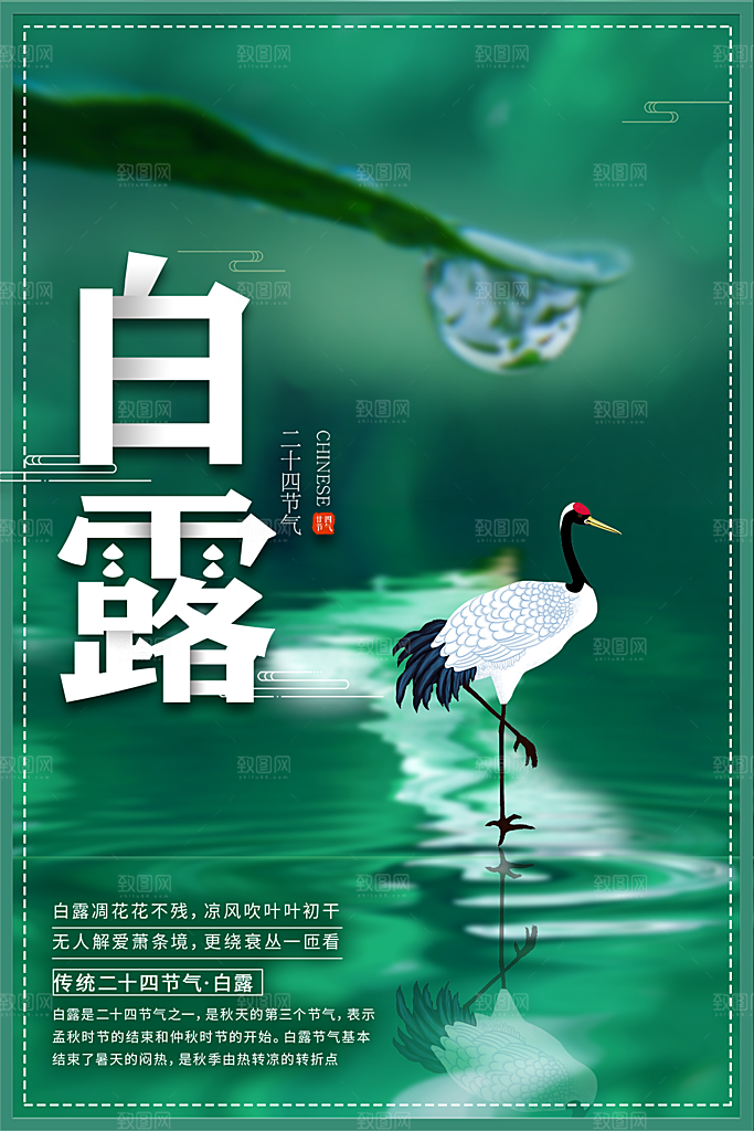 白露节气简约大气海报