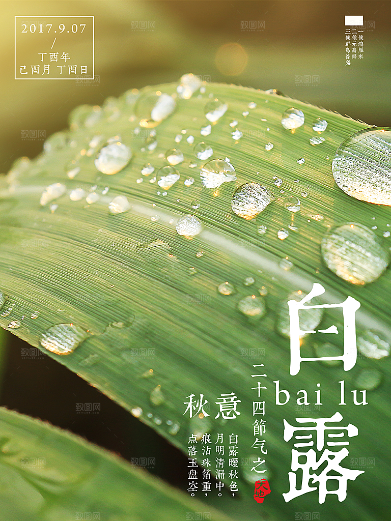 传统节气白露海报模版素材