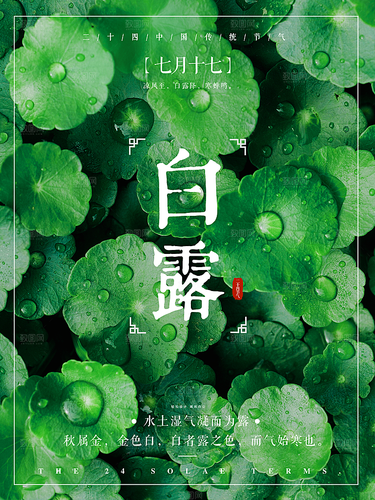 传统节气白露海报模版素材