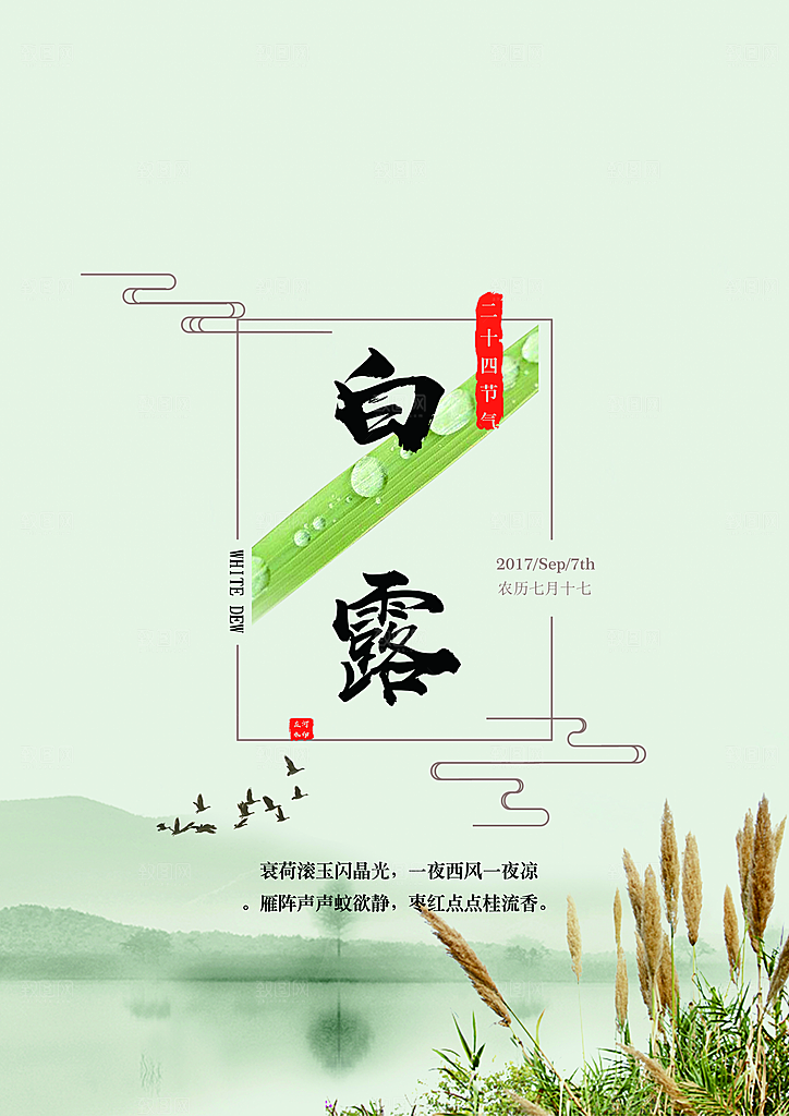 白露节气简约大气海报