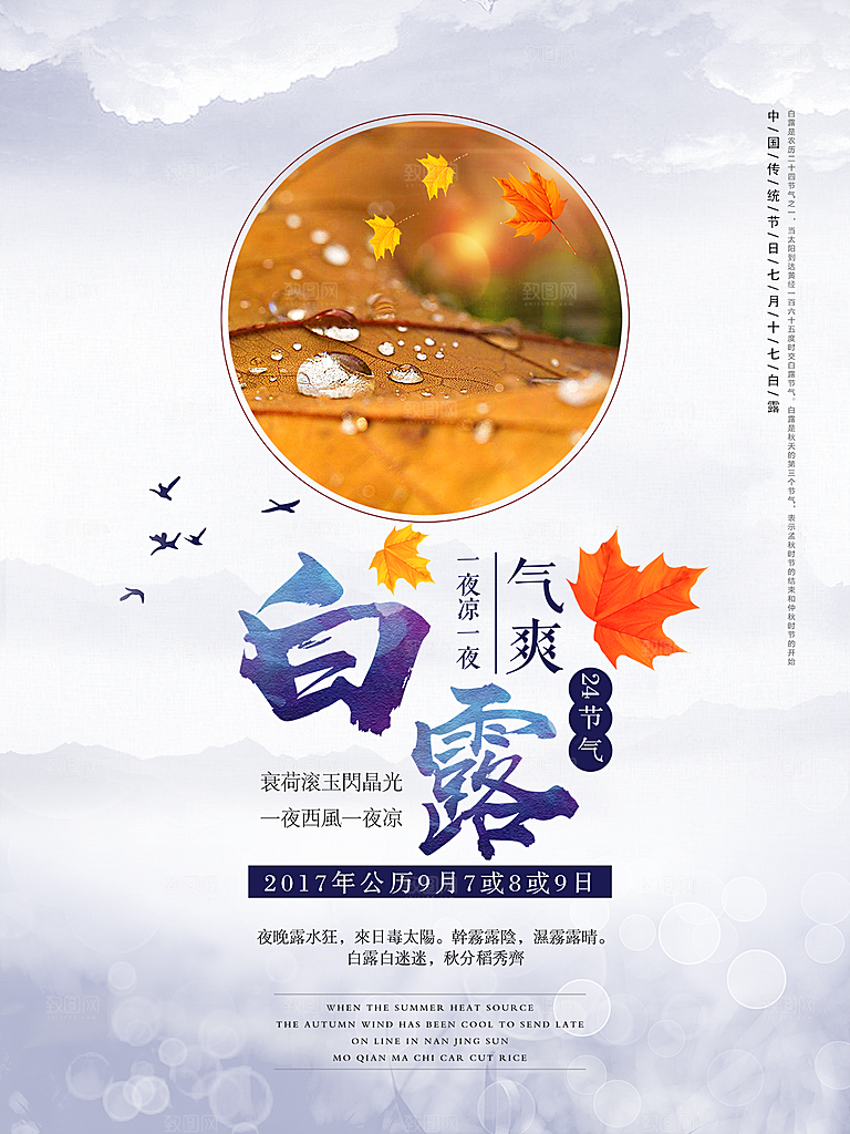 白露节气简约大气海报