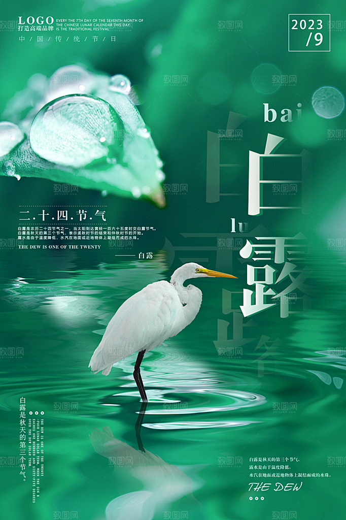 白露节气简约大气海报