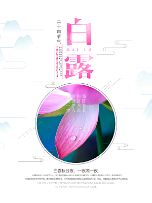 白露节气简约大气海报