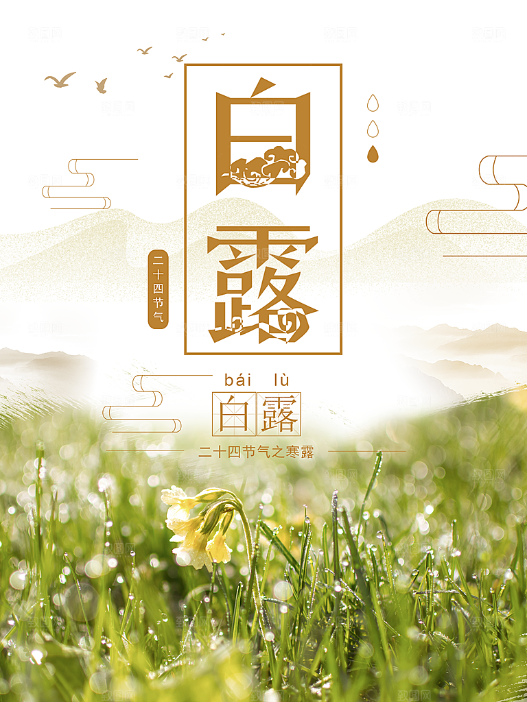 白露节气简约大气海报