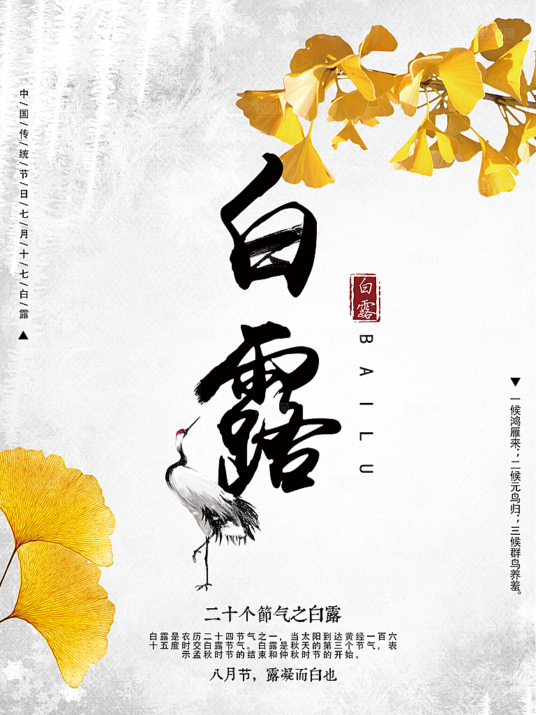 白露节气简约大气海报