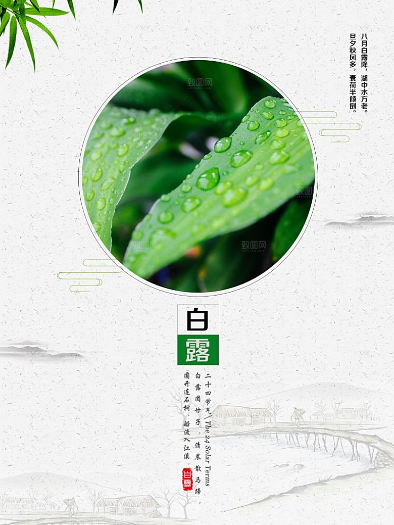白露节气简约大气海报