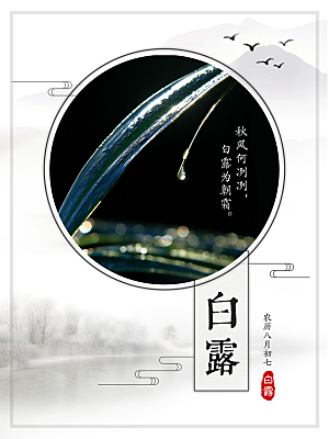 传统节气白露海报模版素材