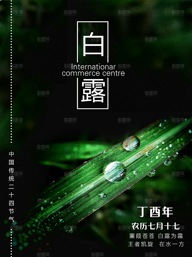 传统节气白露海报模版素材