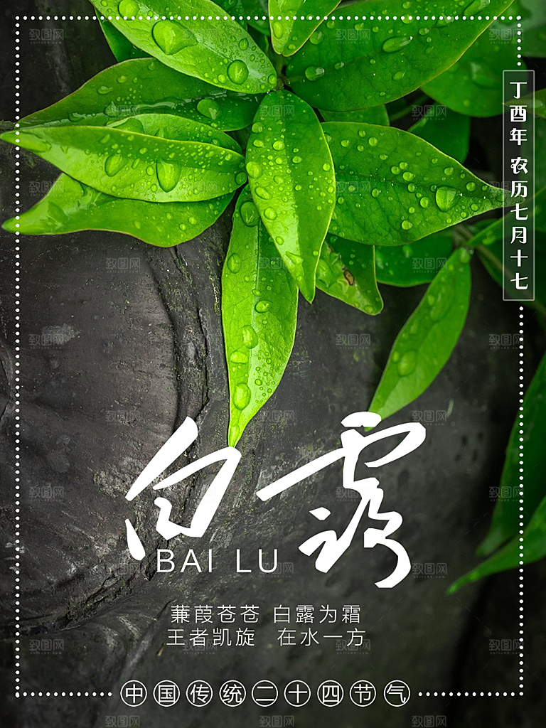 白露节气简约大气海报