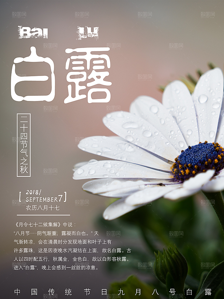白露节气简约大气海报
