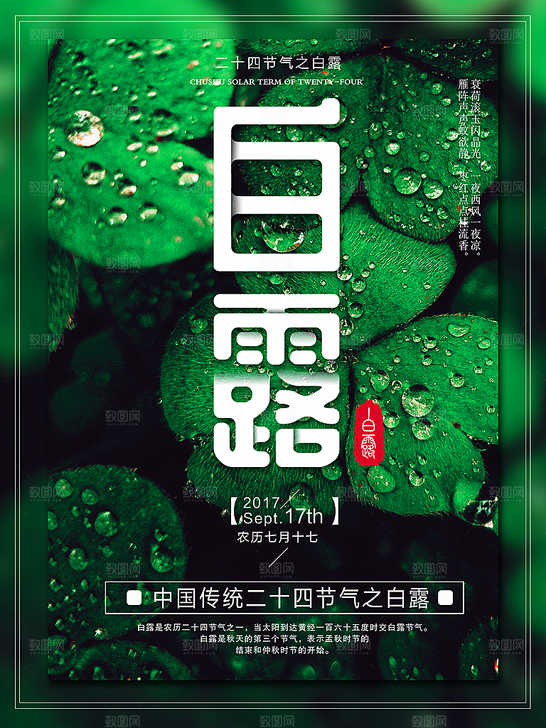 白露节气简约大气海报