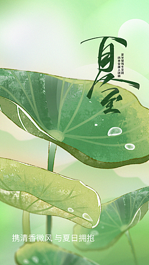 夏至节气传统活动海报