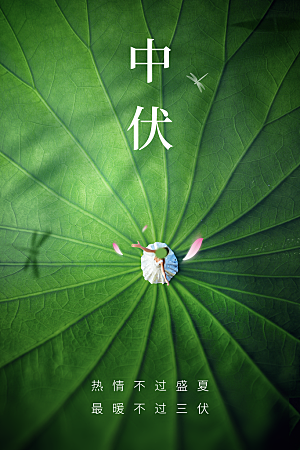 中伏节气传统活动海报