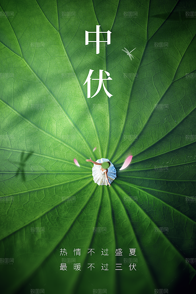 中伏节气传统活动海报