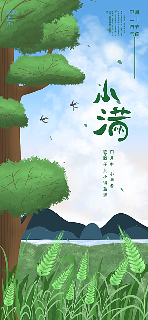 小满节气简约大气海报