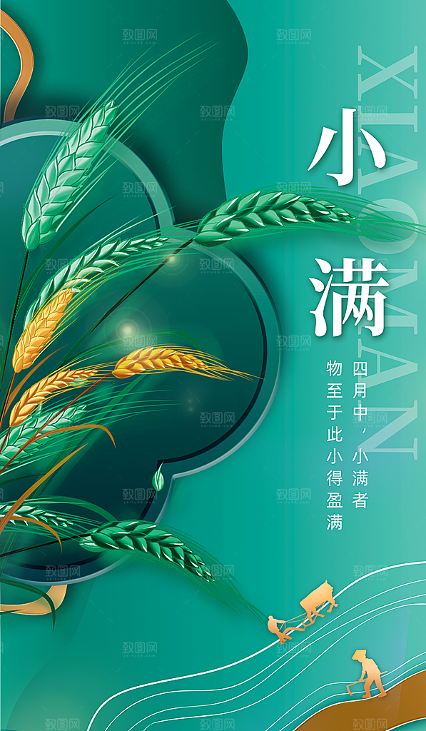 小满节气简约大气海报