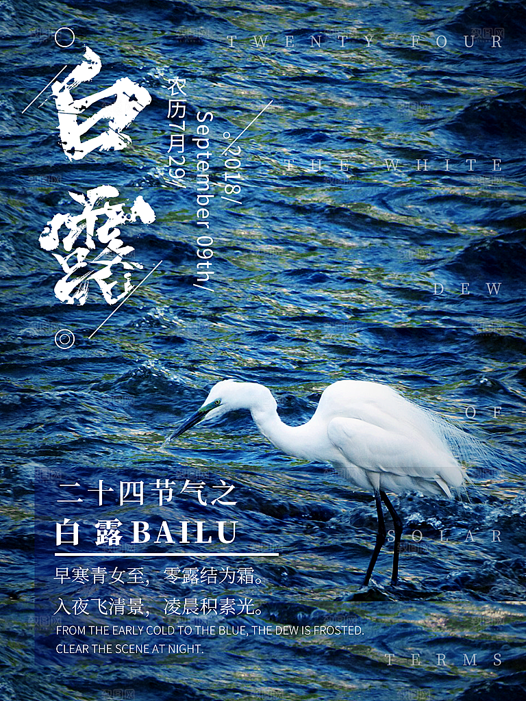 传统节气白露海报模版素材
