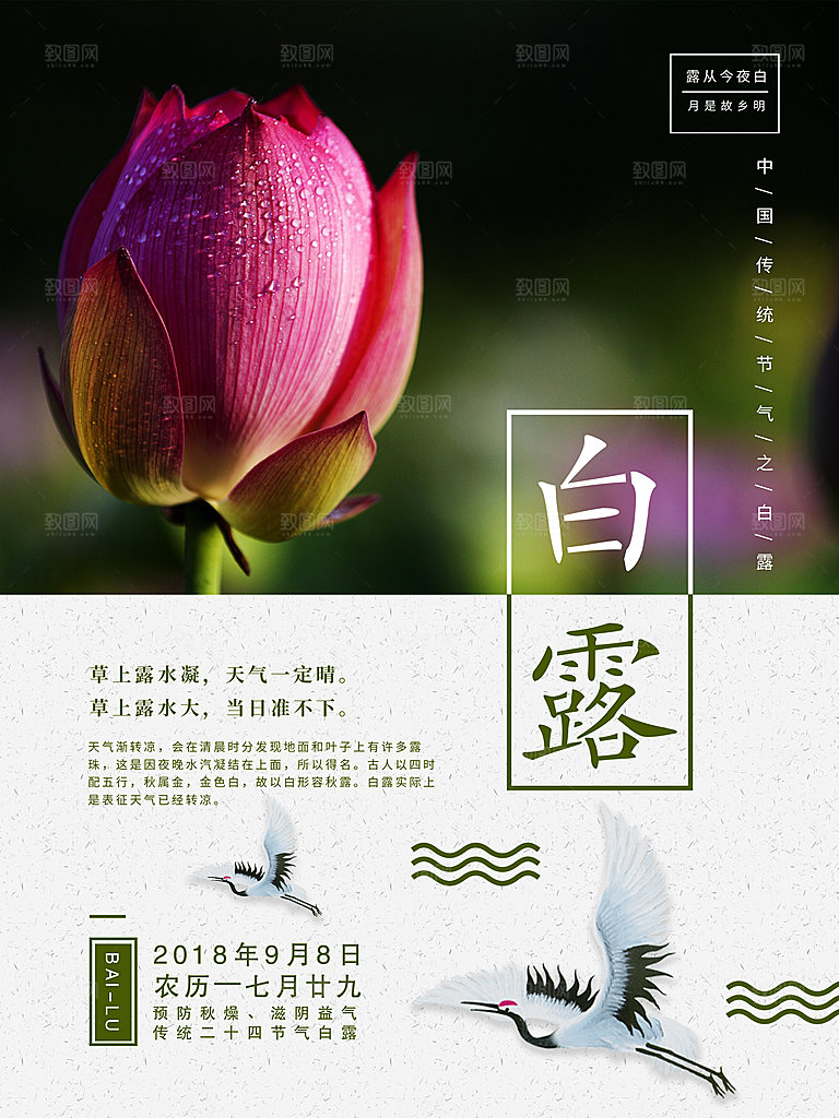 传统节气白露海报模版素材
