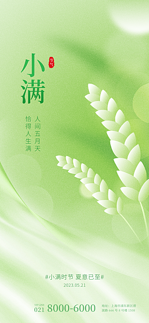 小满节气简约大气海报