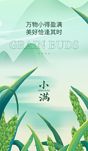 小满节气简约大气海报