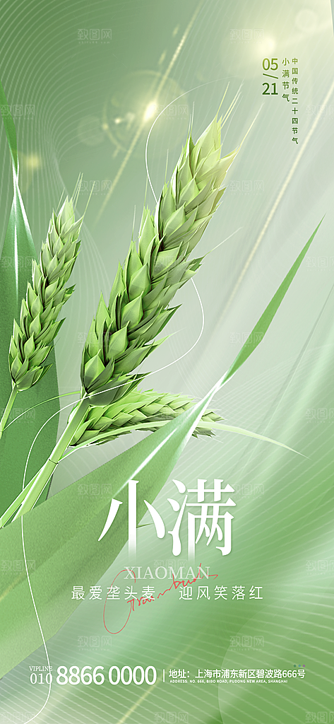小满节气简约大气海报