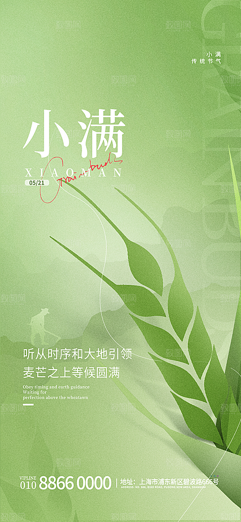 小满节气简约大气海报