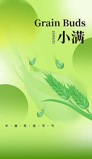 小满节气简约大气海报