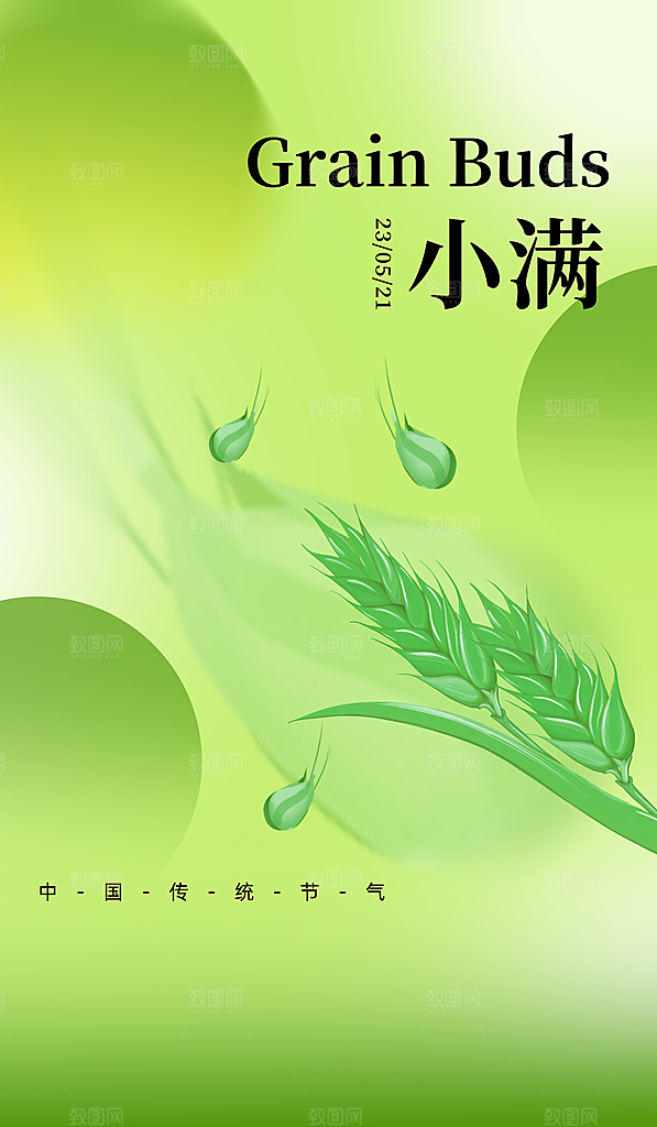 小满节气简约大气海报