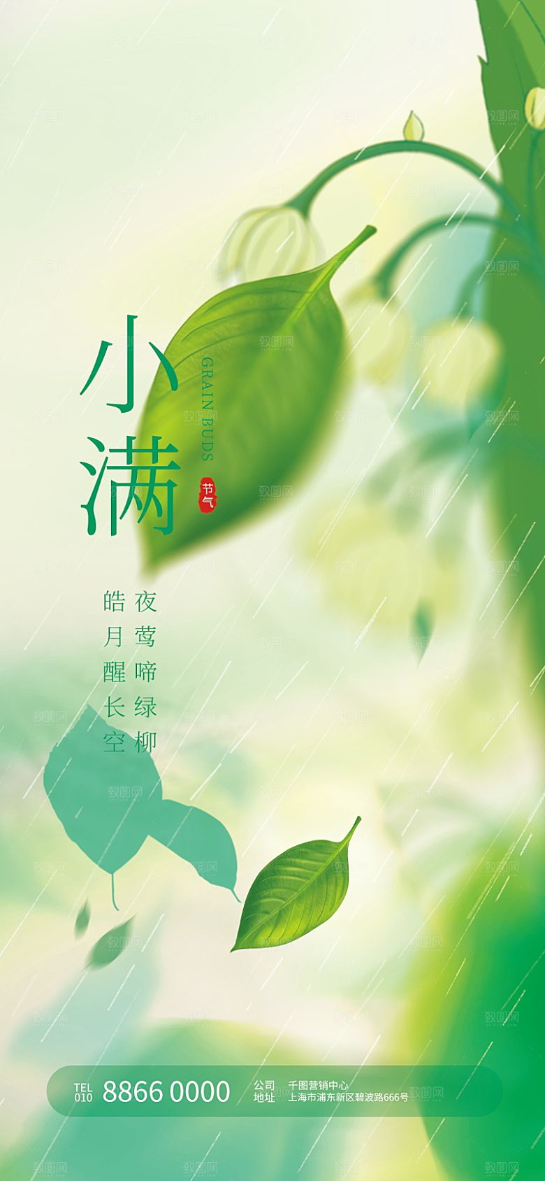 传统节气小满海报模版素材