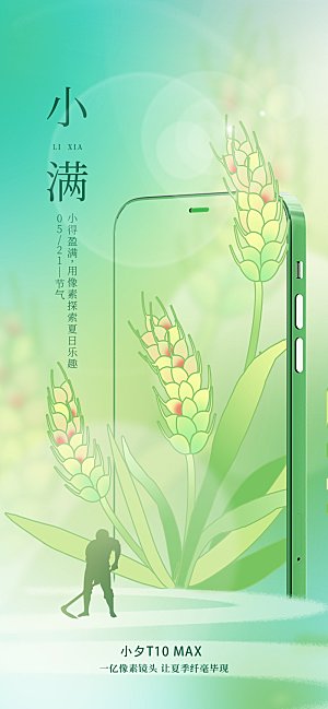 传统节气小满海报模版素材