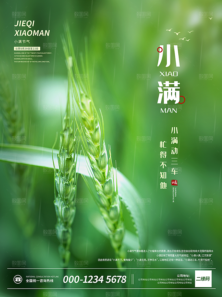 传统节气小满海报模版素材