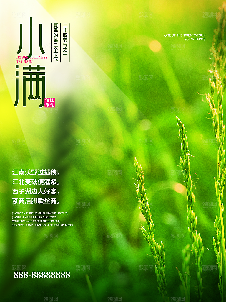 小满节气简约大气海报
