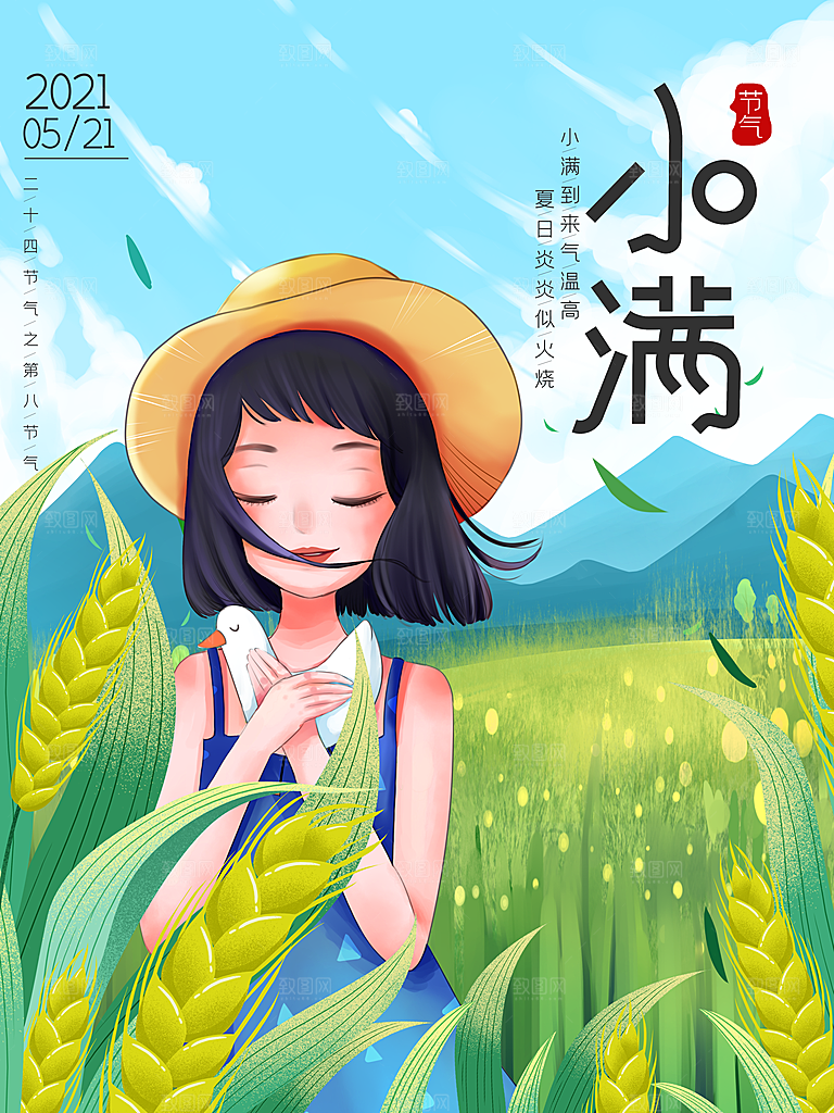 小满节气简约大气海报
