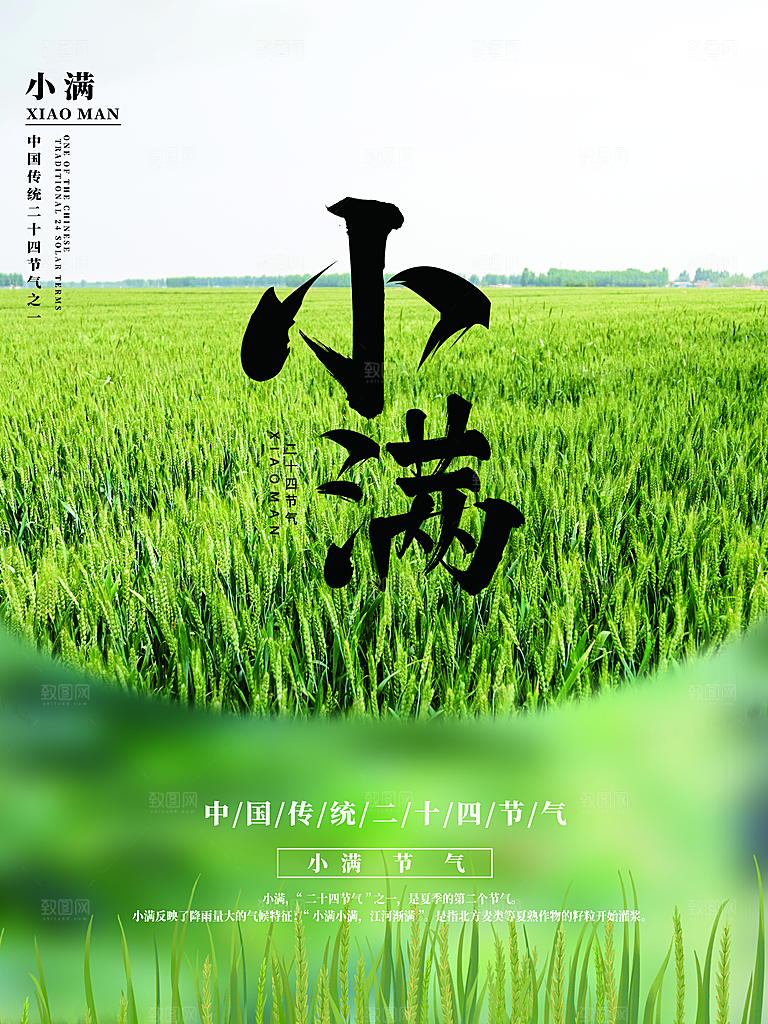 小满节气简约大气海报