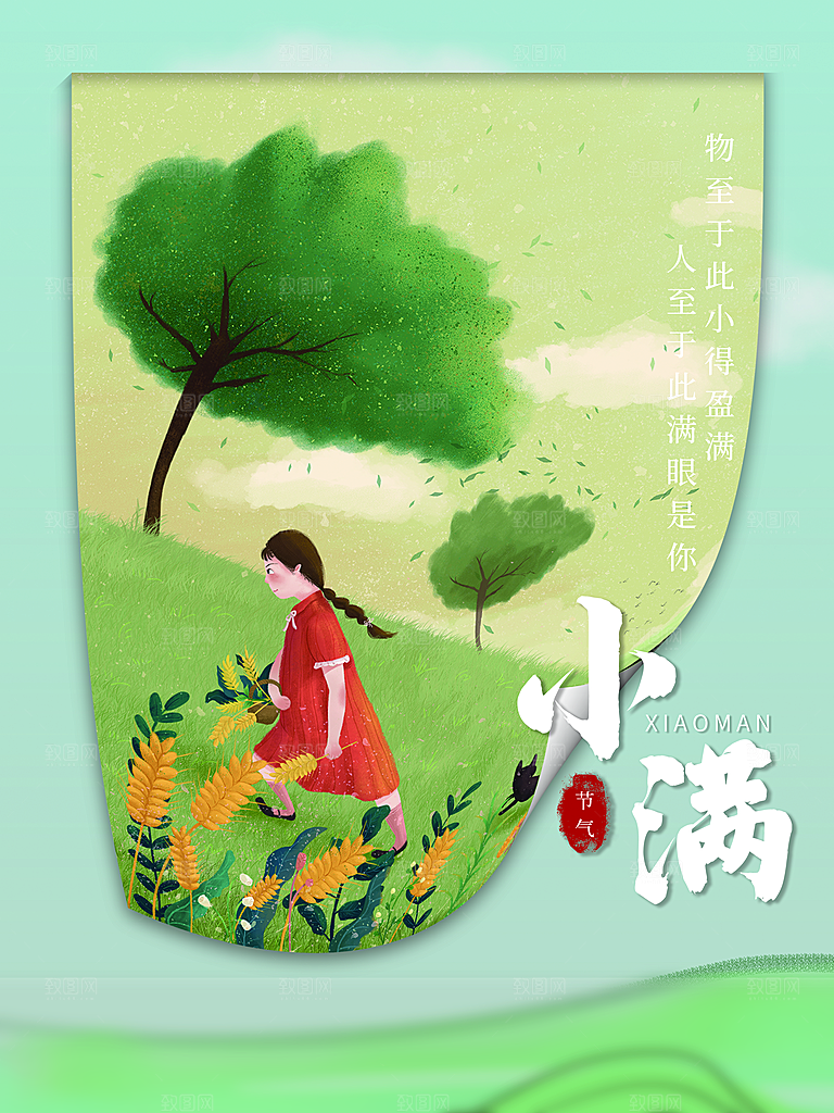 小满节气简约大气海报