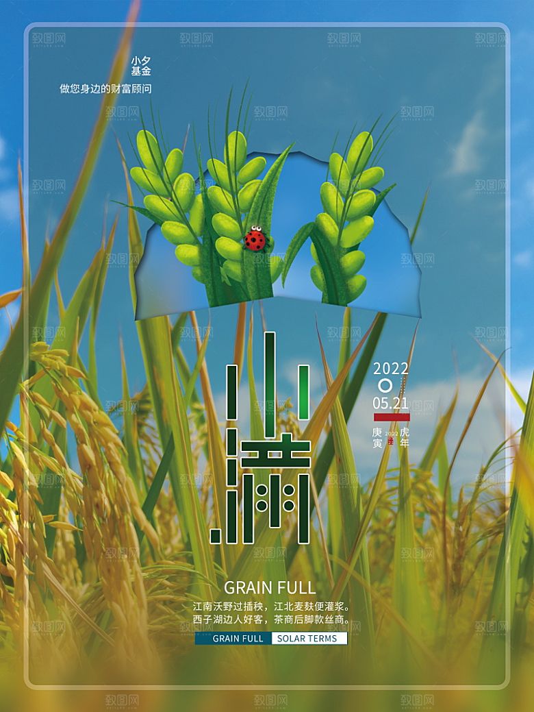小满节气简约大气海报