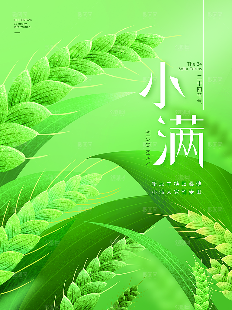 小满节气简约大气海报