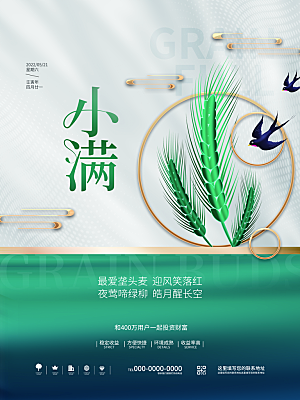 小满节气简约大气海报