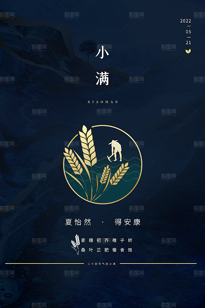 小满节气简约大气海报