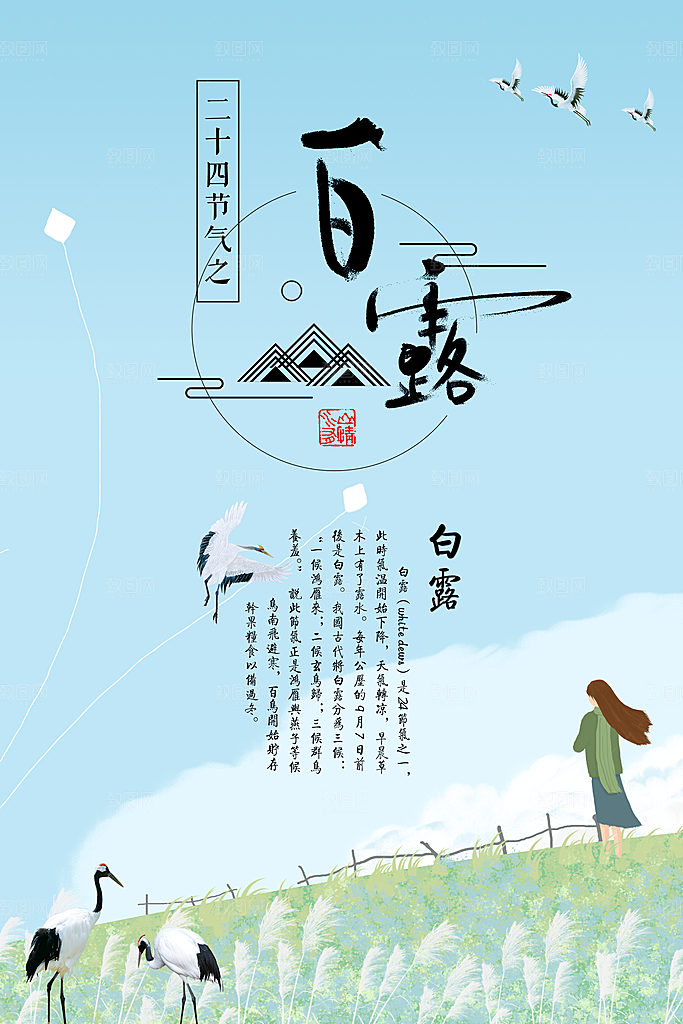 传统节气白露海报模版素材