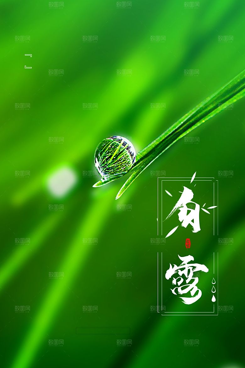 传统节气白露海报模版素材